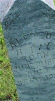 Alfred H Bay