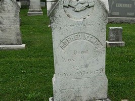 Alfred Kemp