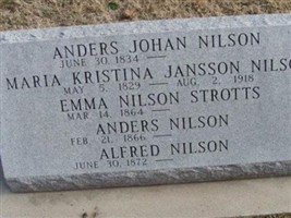Alfred Nilson