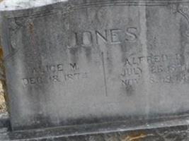 Alfred P. Jones