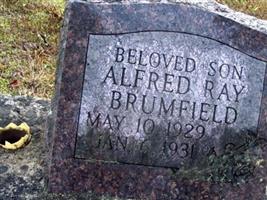 Alfred Ray Brumfield