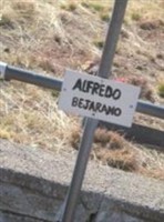 Alfredo Bejarano
