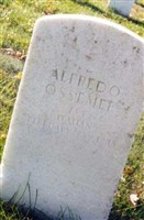 Alfredo Ossemer