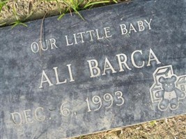Ali Barca