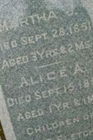 Alice A Fletcher Alice A Fletcher