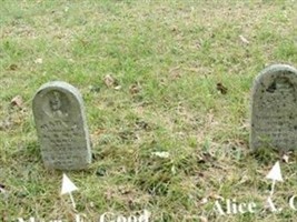 Alice A. Good Alice A. Good
