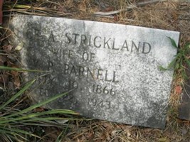 Alice A. Strickland Parnell Alice A. Strickland Parnell