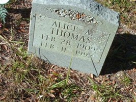 Alice A Thomas Alice A Thomas