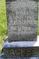 Alice Acree