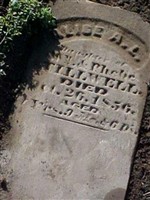 Alice A.L. Stillwell