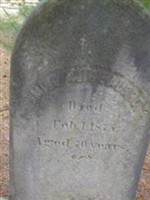 Alice Albro