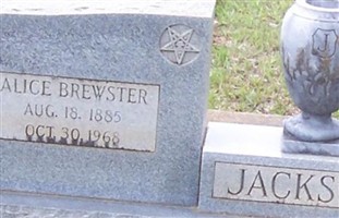 Alice Alda Brewster Jackson Alice Alda Brewster Jackson