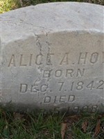 Alice Amanda Howe Alice Amanda Howe