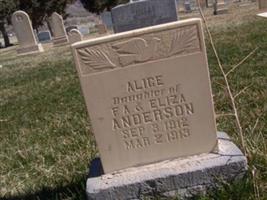 Alice Anderson