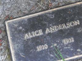 Alice Anderson