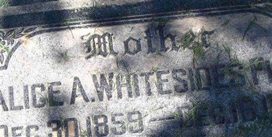 Alice Ann Flint Alice Ann Flint