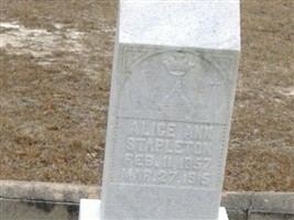 Alice Ann Stapleton Alice Ann Stapleton