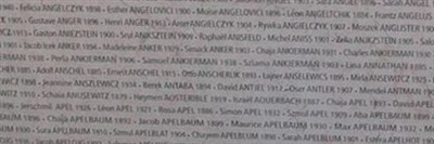 Alice Apfelbaum Alice Apfelbaum