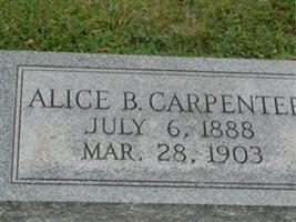 Alice B Carpenter