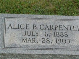 Alice B Carpenter Alice B Carpenter