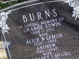 Alice B. Lemon Burns