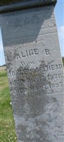 Alice B Moorehead Alice B Moorehead