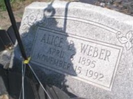 Alice B Weber Alice B Weber