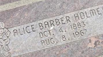 Alice Barber Holmes