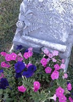 Alice Berg