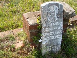 Alice Blakeney McManus