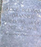 Alice Blevins Branner