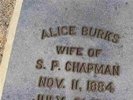 Alice Burks Chapman
