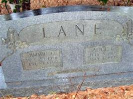 Alice C. Lane