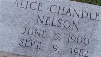 Alice Chandler Nelson