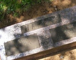 Alice Chapman Harris