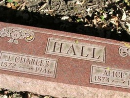 ALICE D HALL ALICE D HALL