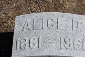 Alice D. Hazen