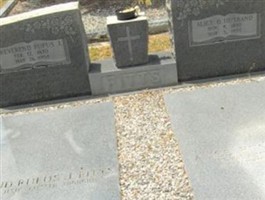 Alice D. Husband Pitts Alice D. Husband Pitts