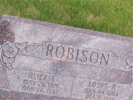 Alice D Robison Alice D Robison