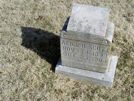 Alice D. Scott
