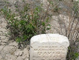 Alice Davis Alice Davis