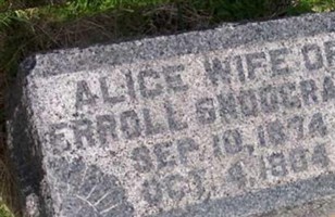 Alice Dominey Snodgrass