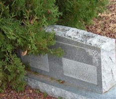 Alice Donia Stilwell