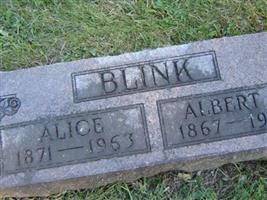 Alice Donnelly Blink