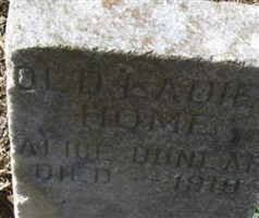 Alice Dunlap