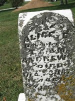 Alice E. Andrews Alice E. Andrews