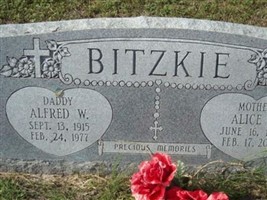 Alice E App Bitzkie Alice E App Bitzkie