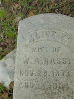 Alice E. Bass