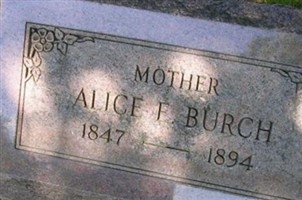 Alice E Burch