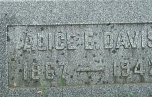 Alice E Davis
